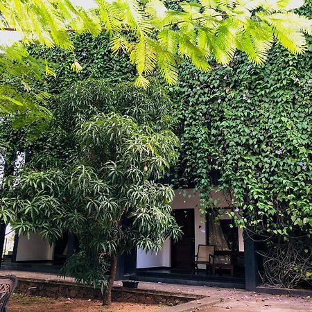 Dambulla Rock Arch Bed & Breakfast Eksteriør bilde