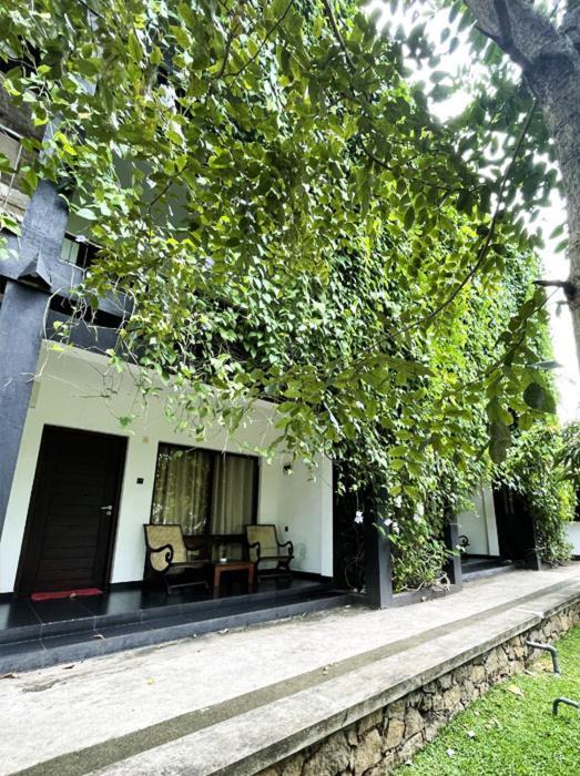 Dambulla Rock Arch Bed & Breakfast Eksteriør bilde