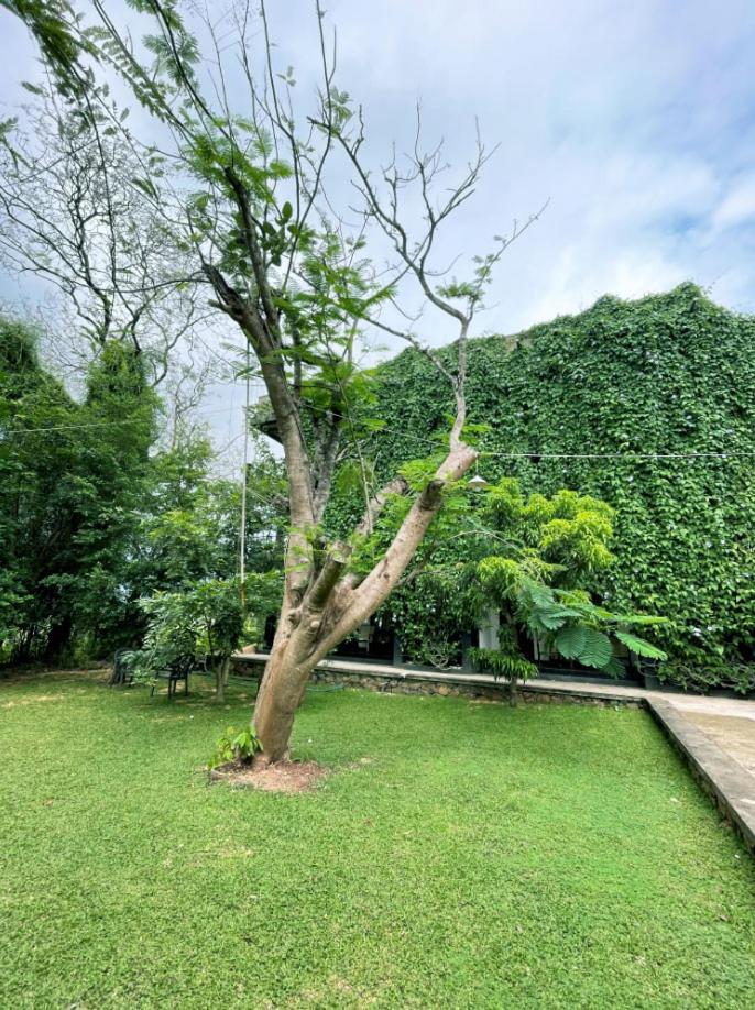 Dambulla Rock Arch Bed & Breakfast Eksteriør bilde